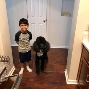 Meet your Posher, Elysa